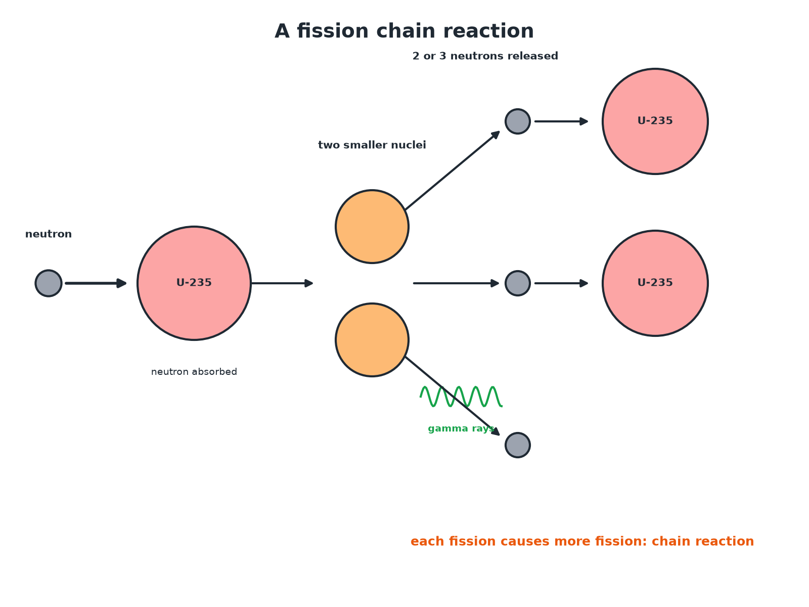 A neutron splitting a uranium-235 nucleus into two smaller nuclei and more neutrons, which go on to split more nuclei in a chain reaction.