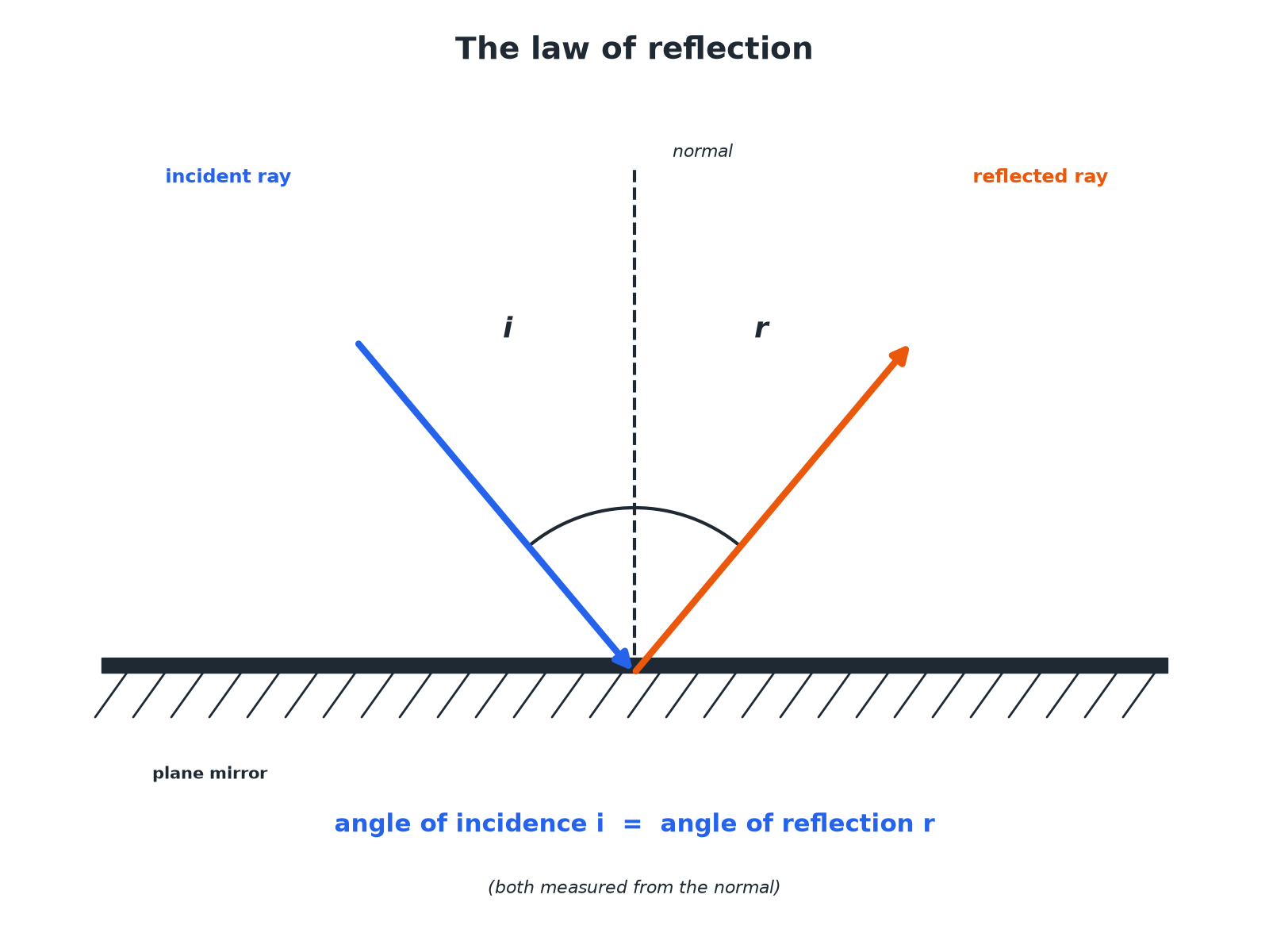 A ray reflecting from a plane mirror with equal angles of incidence and reflection measured from the normal.