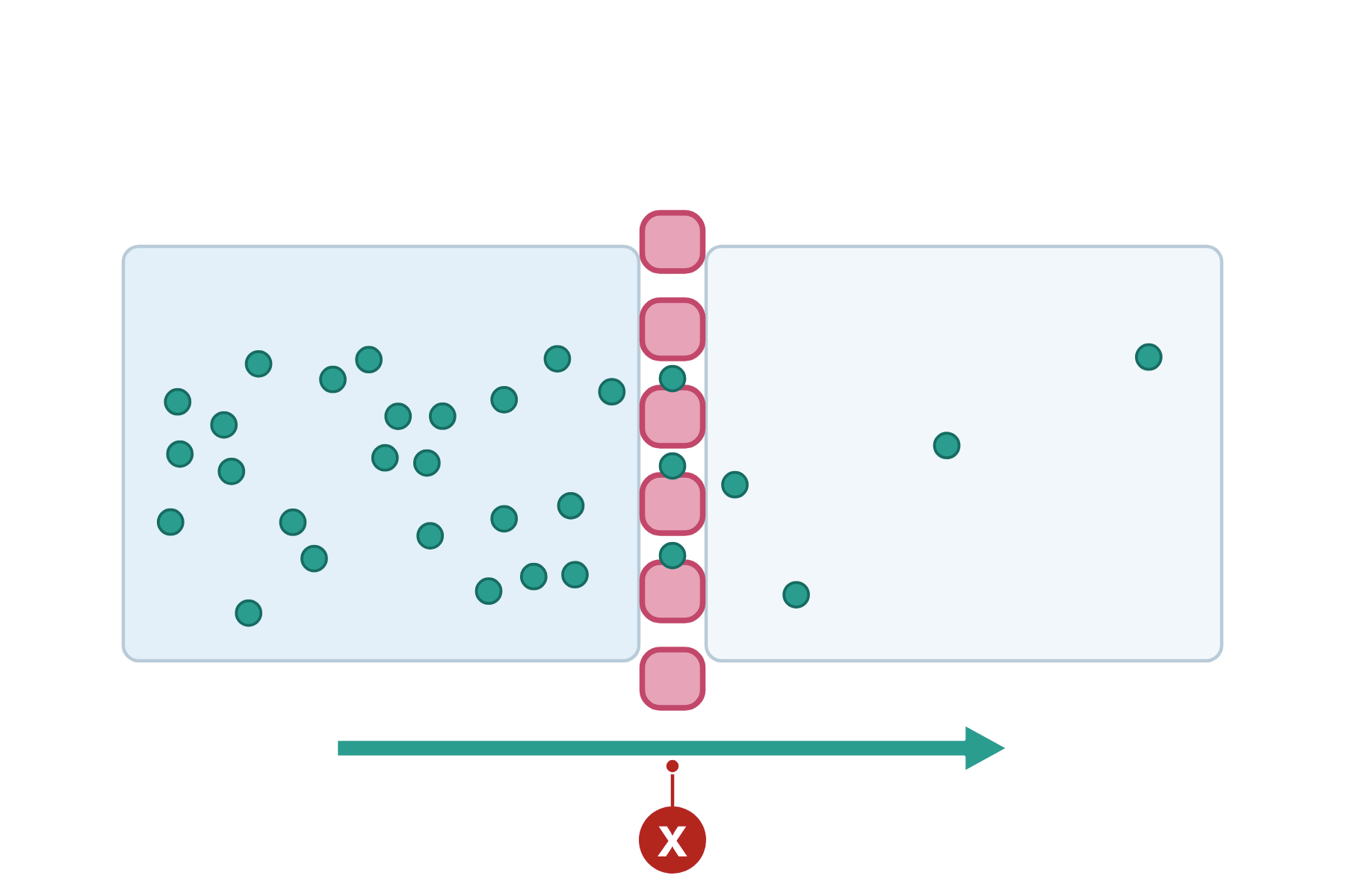 Particles on both sides of a cell membrane with a marker X on an arrow pointing from the fuller side to the emptier side.