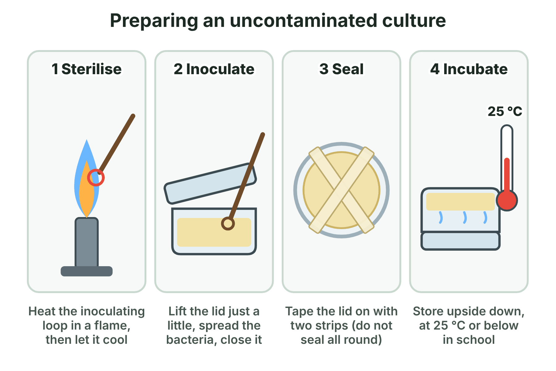 Four steps of aseptic technique: flaming the loop, inoculating, taping the lid, and incubating the dish upside down.