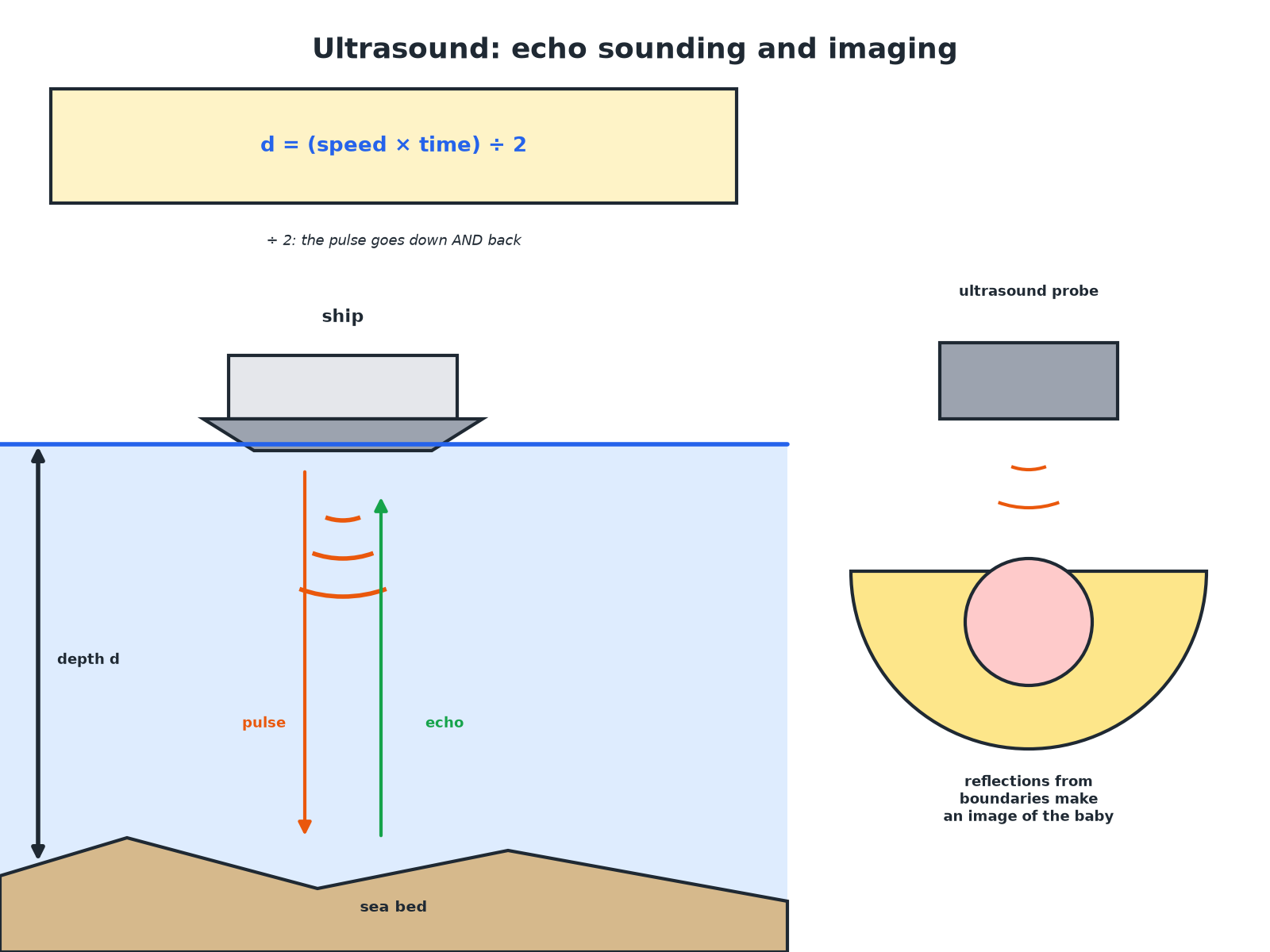 A ship using ultrasound echoes to find the depth of the sea, and an ultrasound probe for medical imaging.