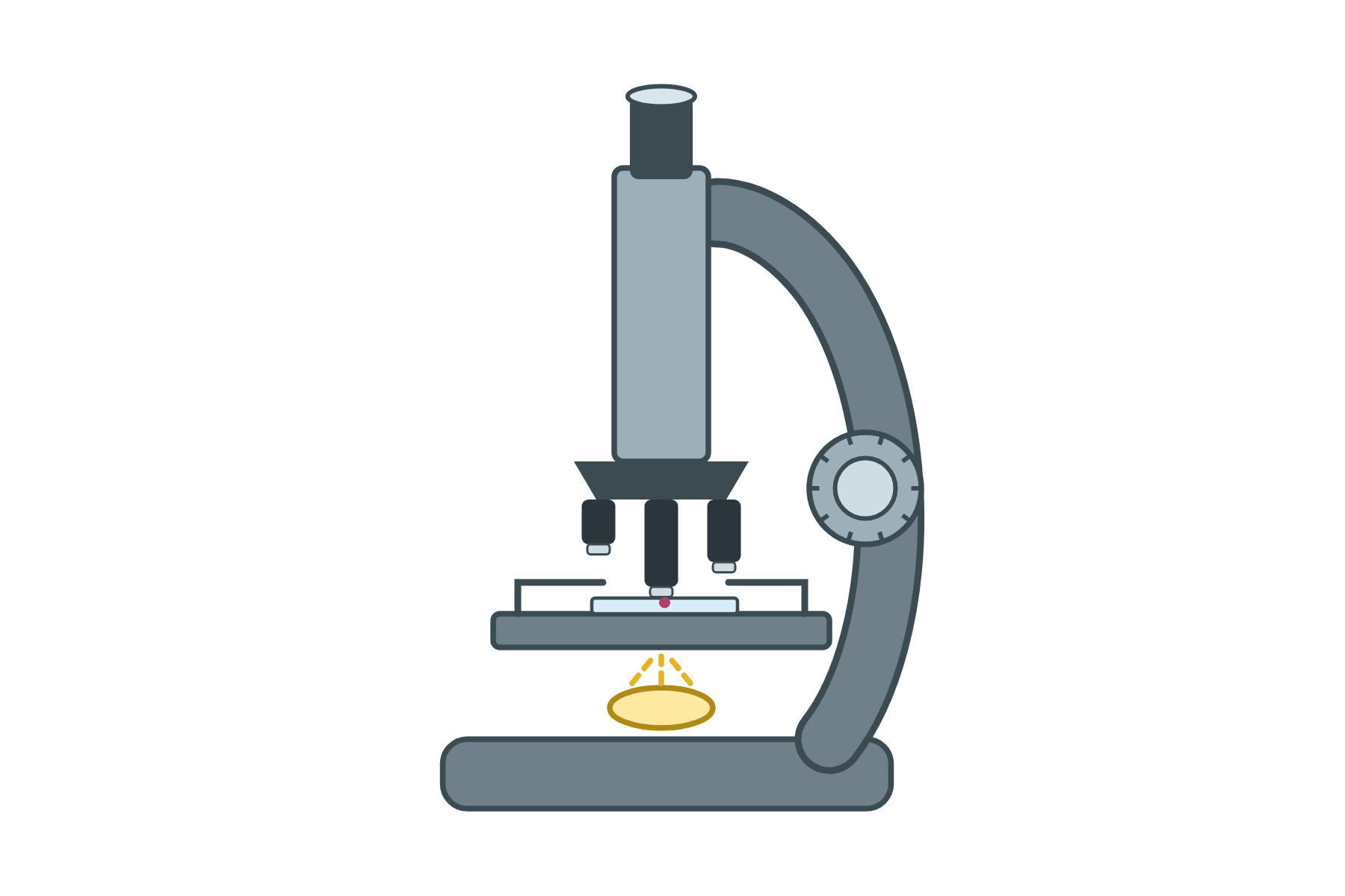 A light microscope with no labels.