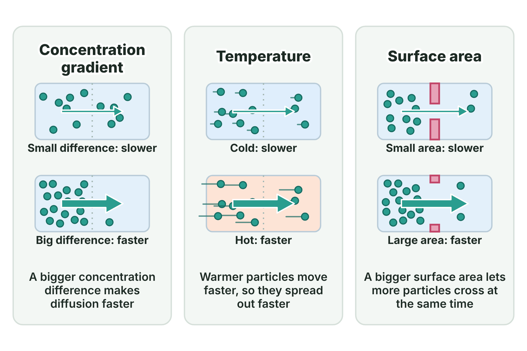 Three comparisons showing diffusion faster with a bigger concentration difference, a higher temperature and a larger surface area.