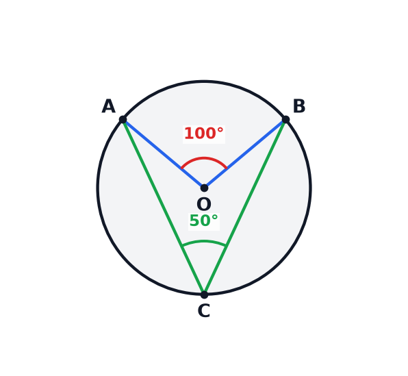 A circle with the angle AOB at the centre equal to 100 degrees and the angle ACB at the circumference equal to 50 degrees.