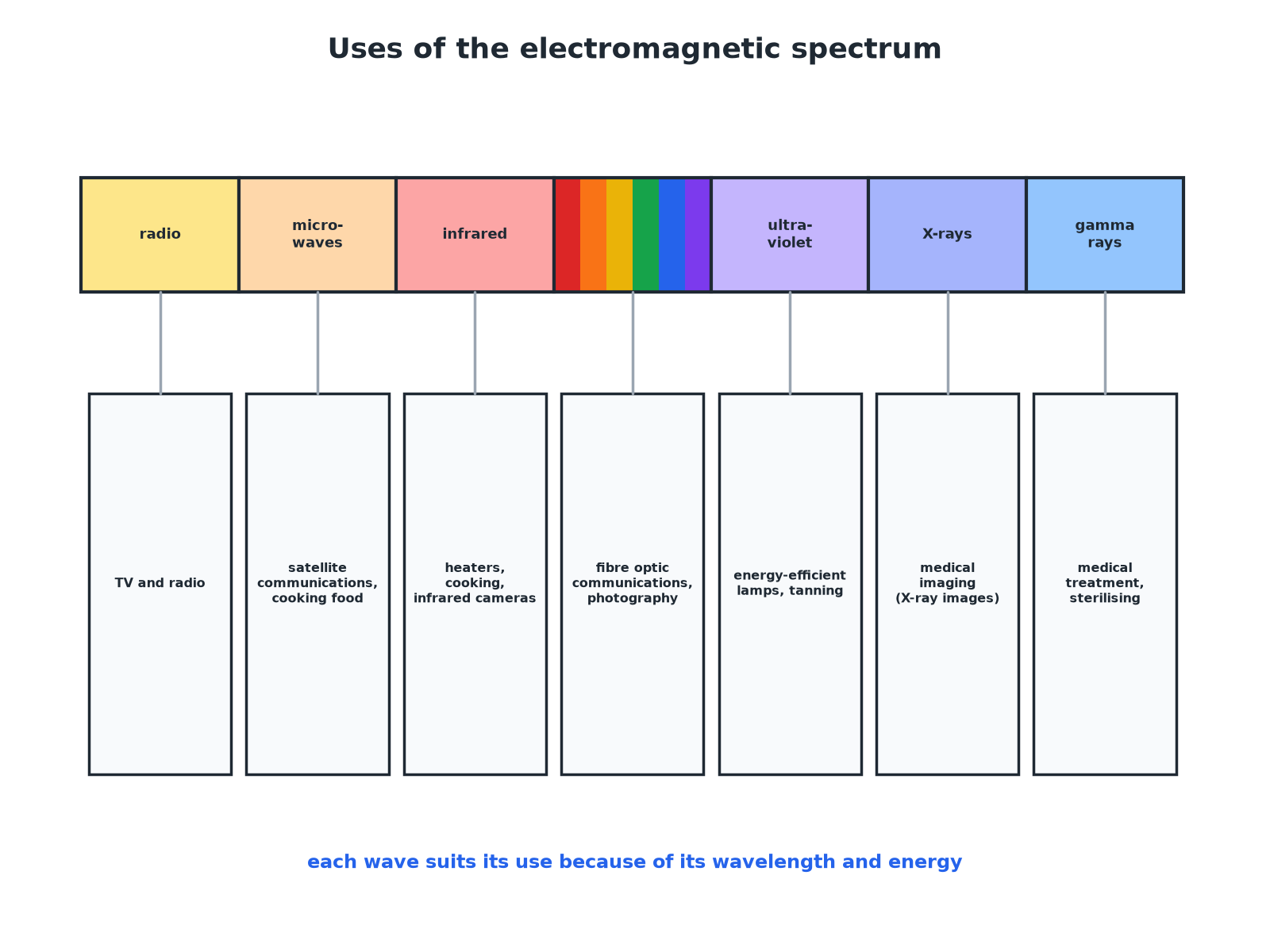 Icons showing the uses of radio waves, microwaves, infrared, visible light, ultraviolet, X-rays and gamma rays.