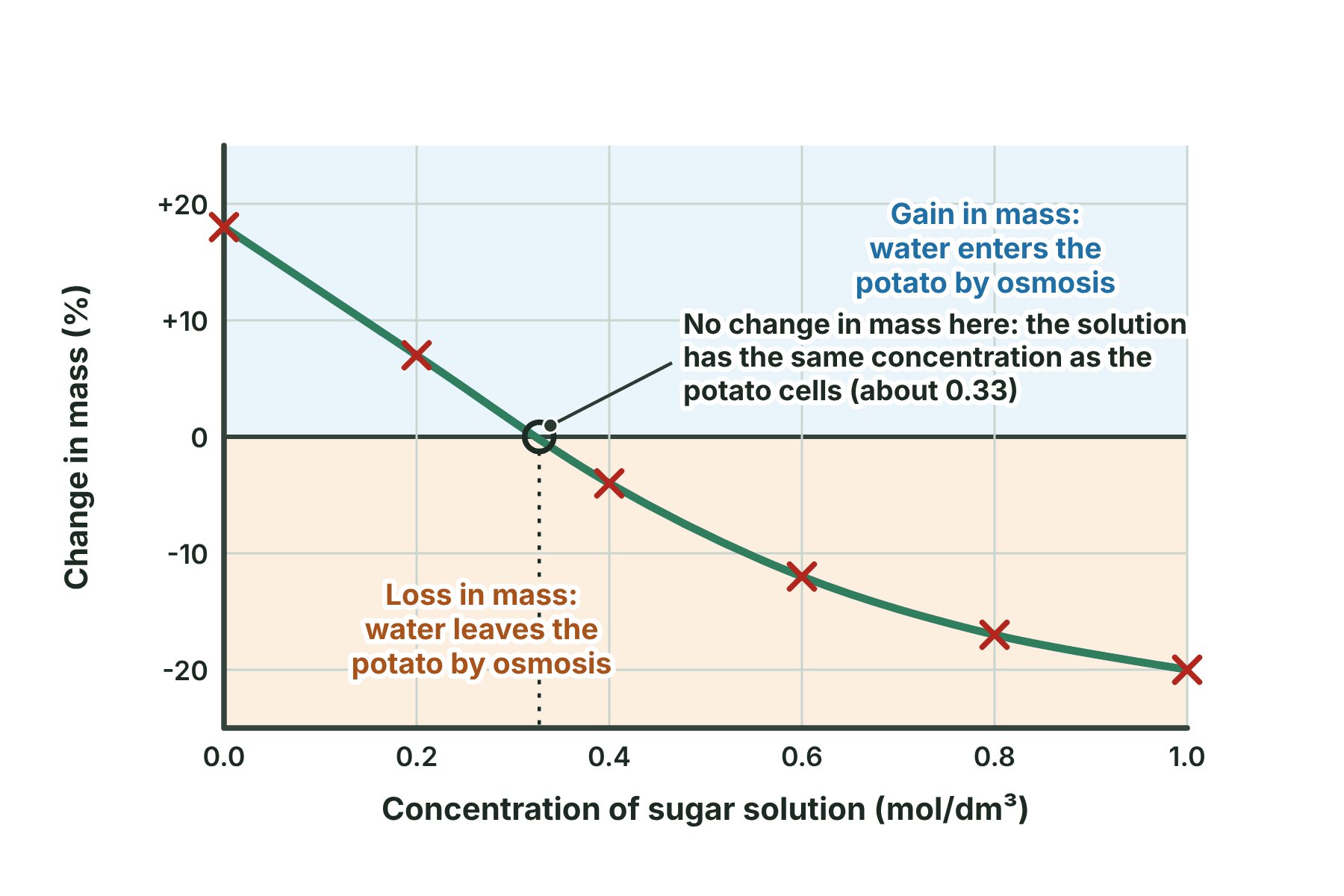 A graph of percentage change in mass of potato against sugar concentration, falling from a gain to a loss and crossing zero at about 0.33 mol/dm³.