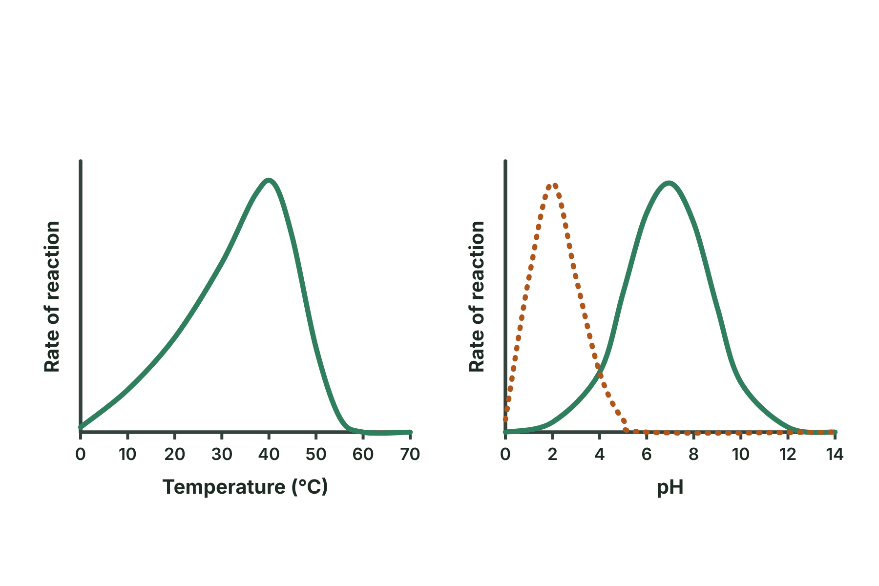 A temperature graph and a pH graph with curves but no labels on the peaks.