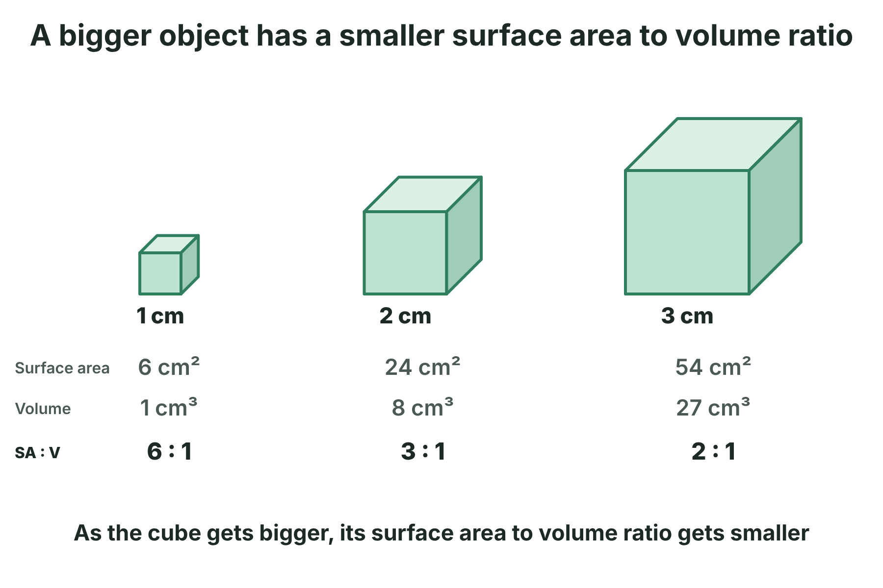 Three cubes of side 1, 2 and 3 cm with their surface areas, volumes and ratios of 6 to 1, 3 to 1 and 2 to 1.