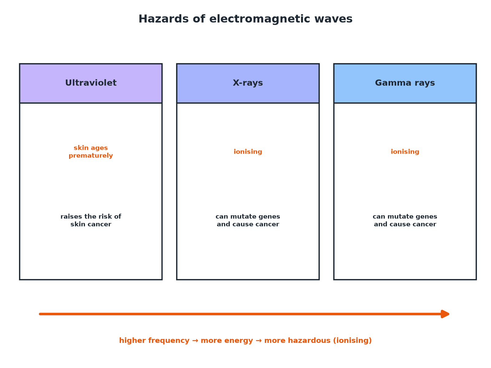 Hazards of ultraviolet, X-rays and gamma rays: skin damage, cancer and gene mutation.