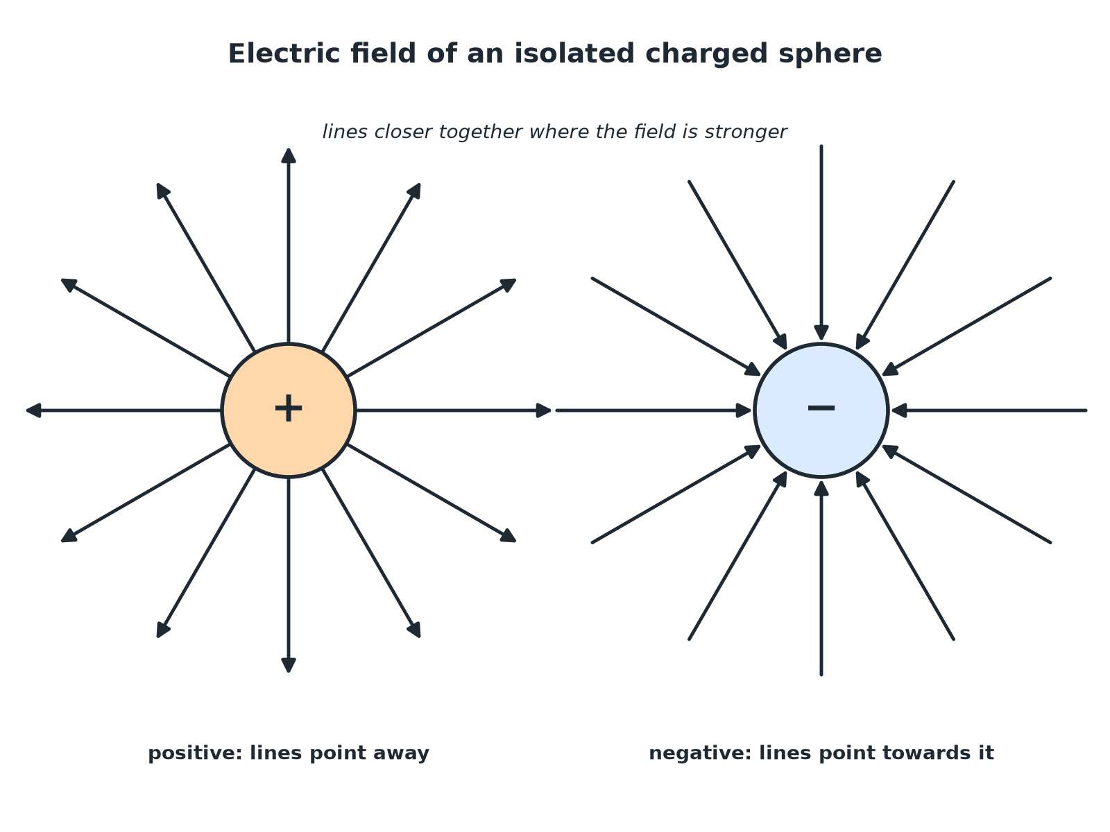 Radial electric field lines pointing out of a positive sphere and into a negative sphere.