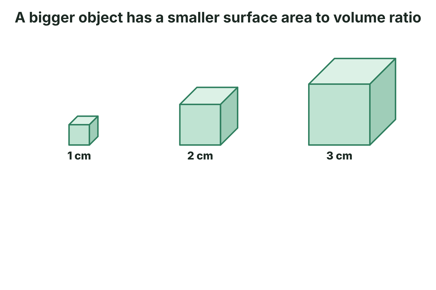 Three cubes of side 1, 2 and 3 cm with nothing else written on the page.
