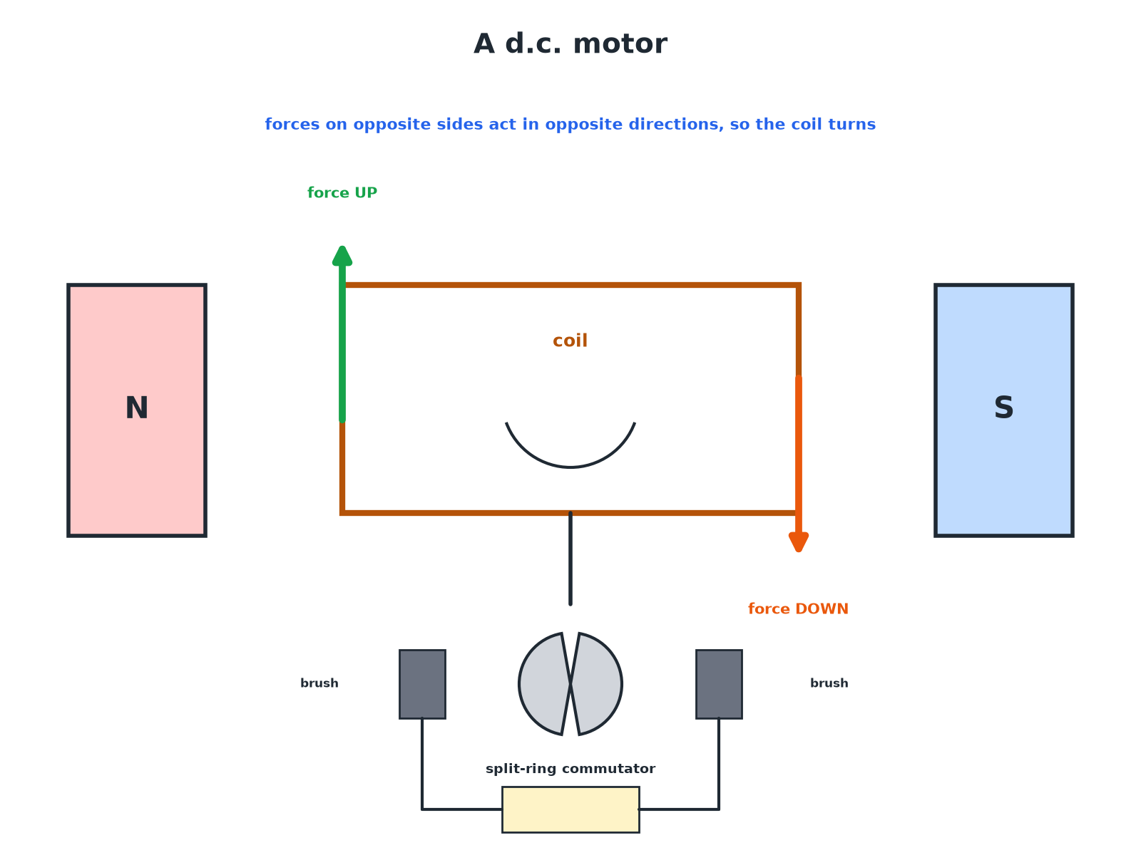 A d.c. motor with a coil, magnets, split-ring commutator and brushes, with the forces on the two sides shown.