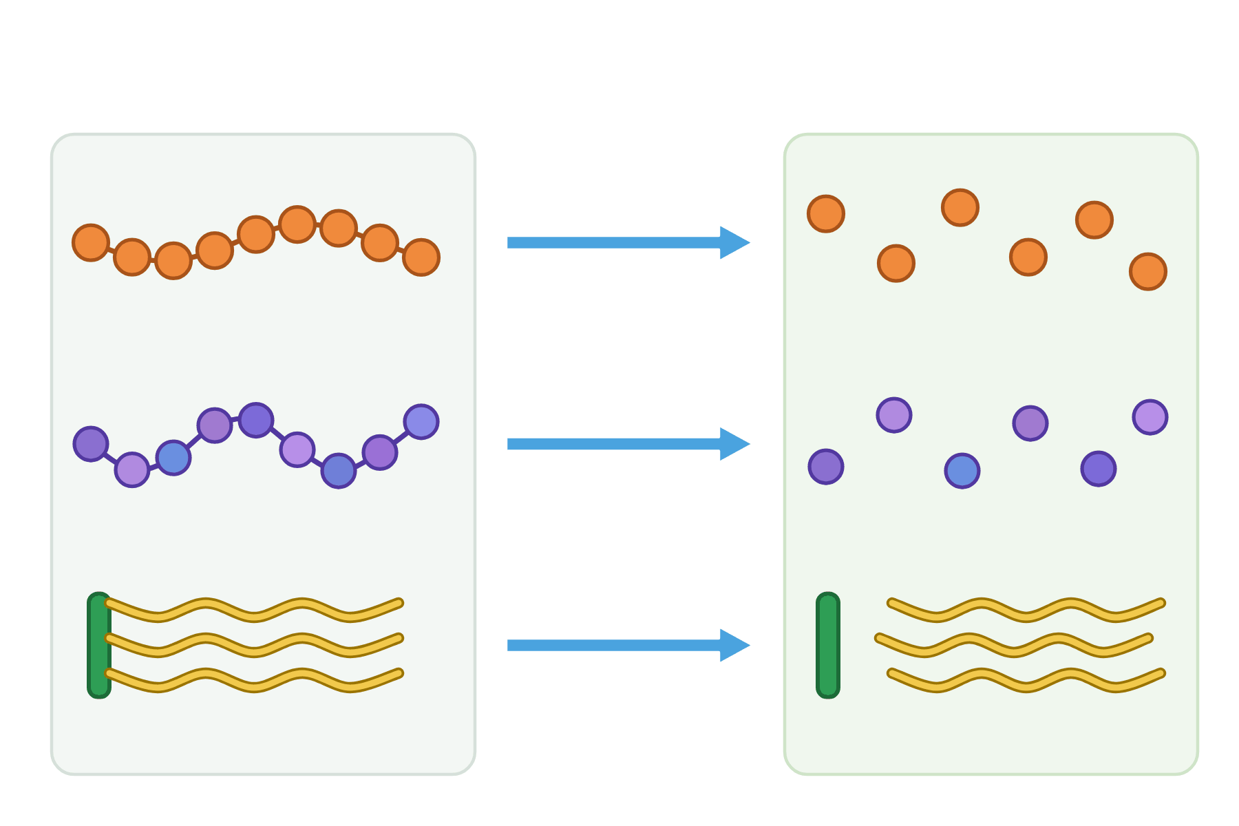 Three large molecules being broken into small molecules with no labels.