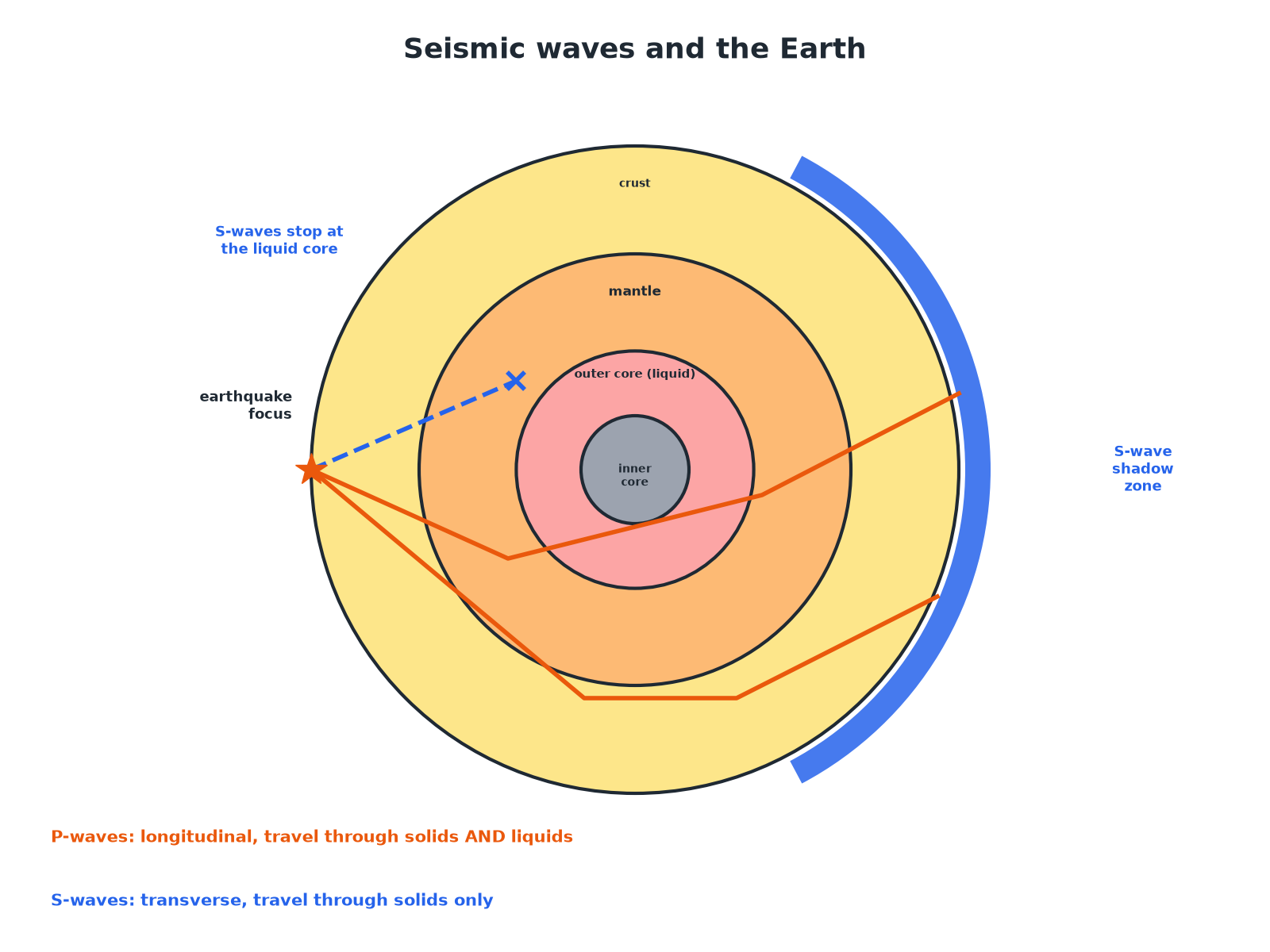 The Earth's layers with P-waves passing through the liquid core and S-waves stopped by it, leaving a shadow zone.
