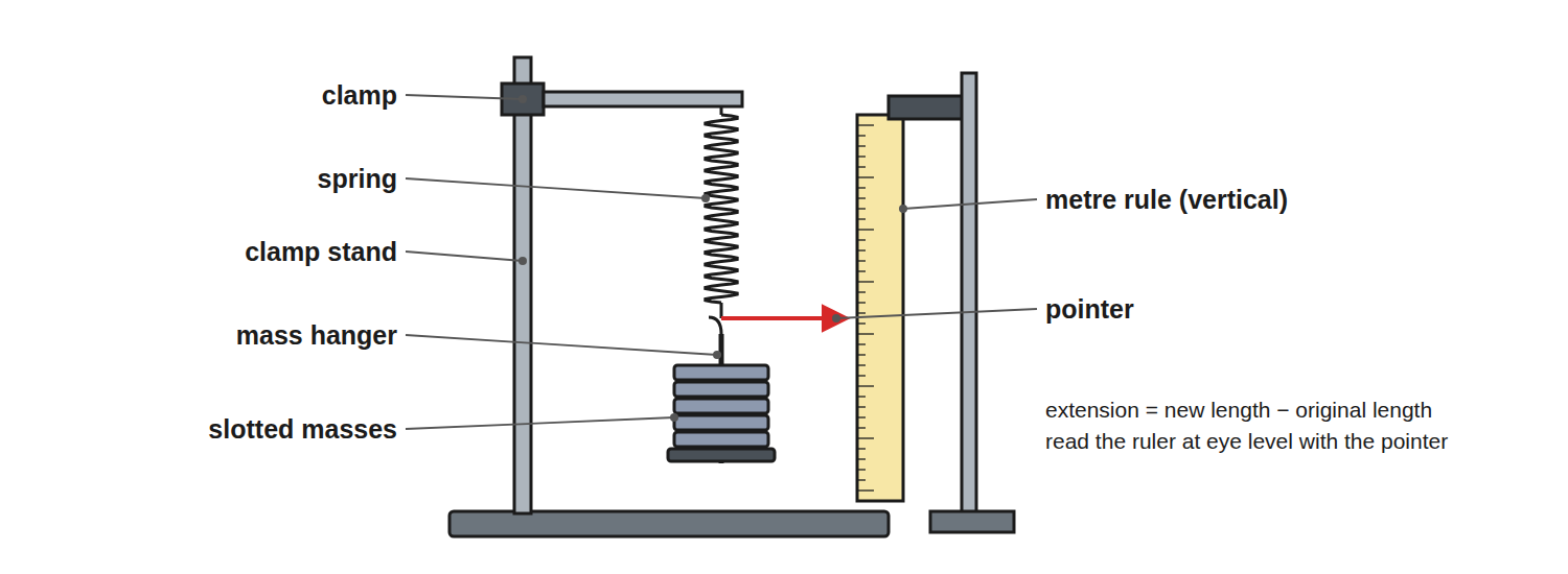 A spring hanging from a stand with a ruler beside it and masses on a hanger, used to measure extension.